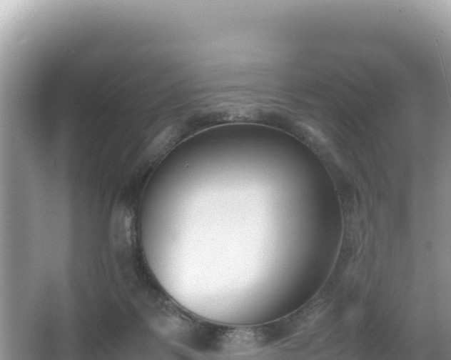 X0000067340123200604071401