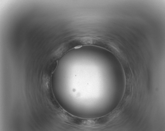 X0000067340125200604071401