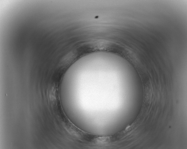 X0000067340126200604071401