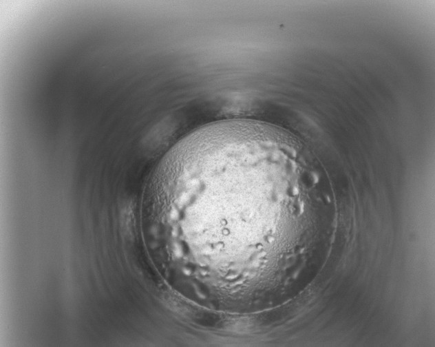 X0000067340127200604071401