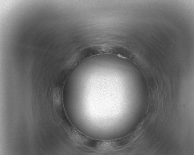 X0000067340129200604071401