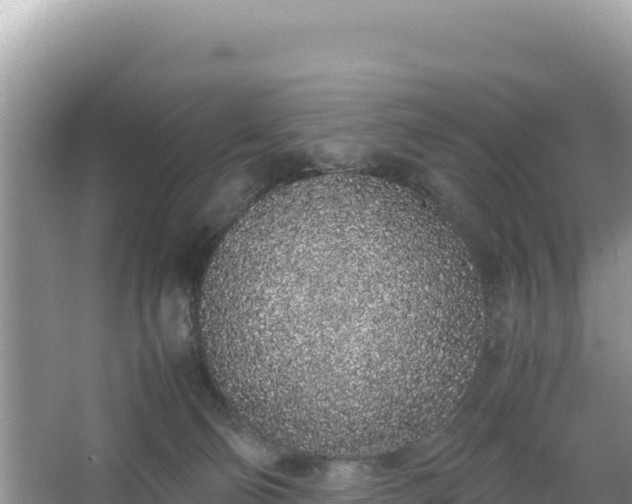 X0000067340130200604071401