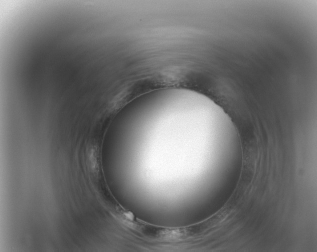 X0000067340131200604071401