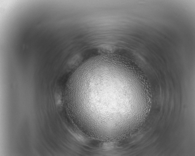 X0000067340134200604071401