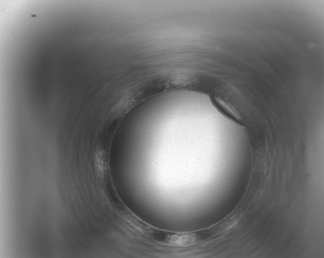 X0000067340135200604071401