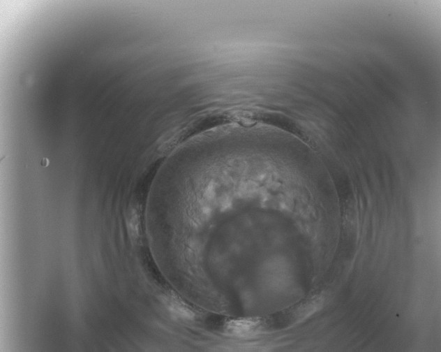 X0000067340139200604071401