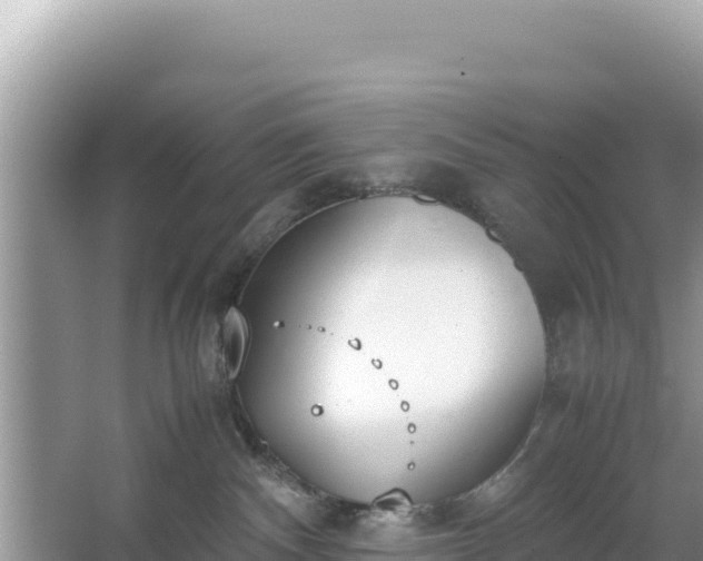 X0000067340140200604071401