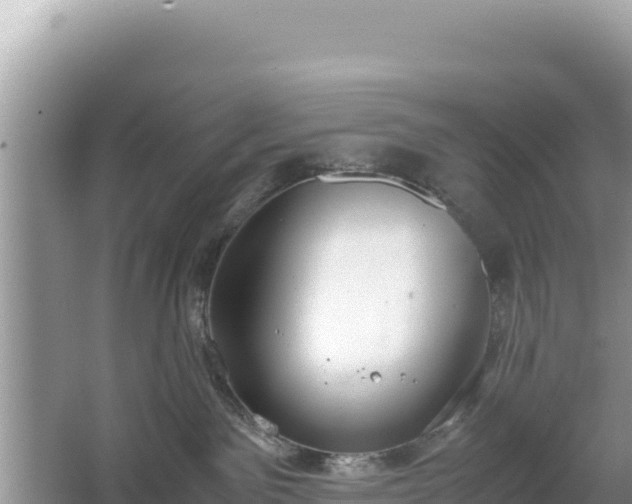 X0000067340141200604071401