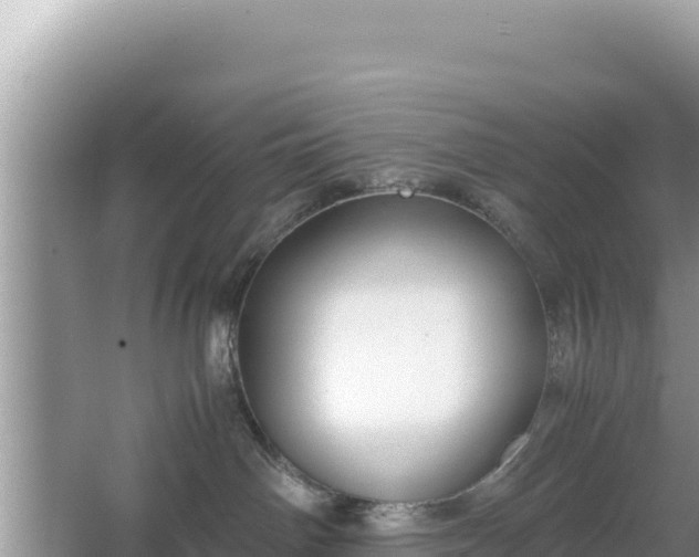 X0000067340142200604071401