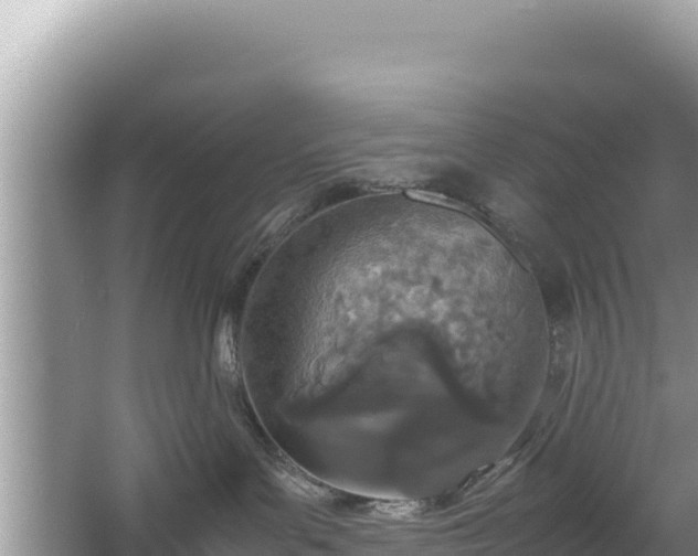 X0000067340143200604071401