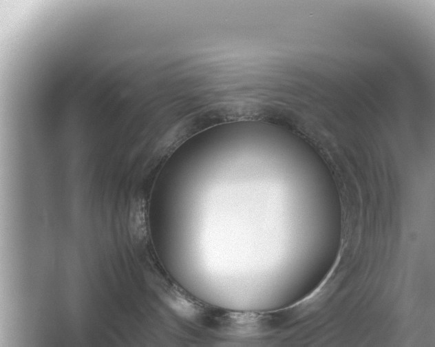 X0000067340144200604071401