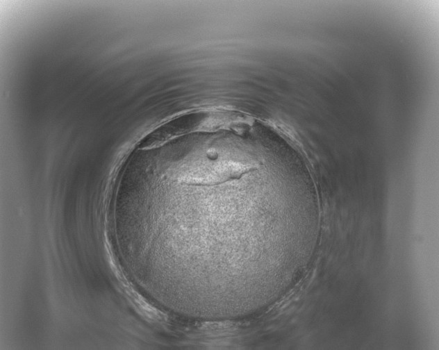 X0000067340145200604071400