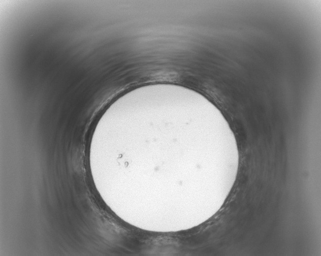 X0000067340146200604071400