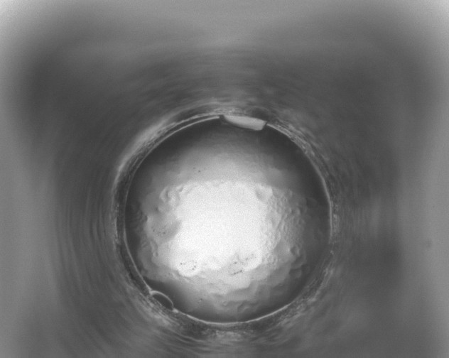 X0000067340149200604071400