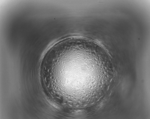 X0000067340151200604071400