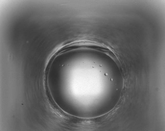 X0000067340152200604071400