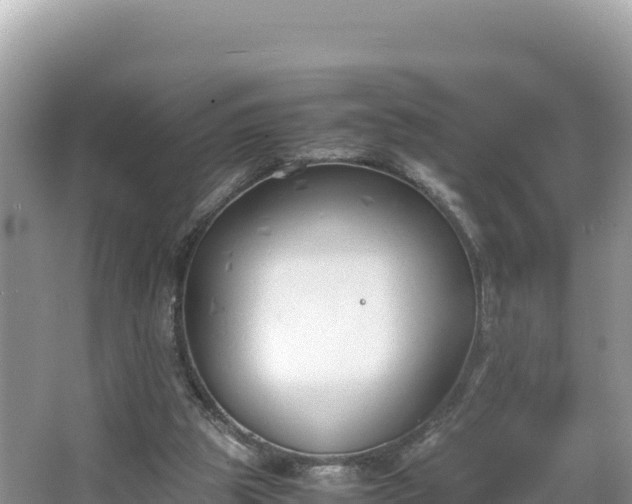 X0000067340153200604071400