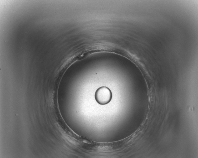 X0000067340154200604071400