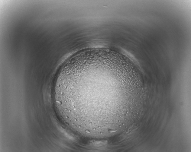 X0000067340155200604071400