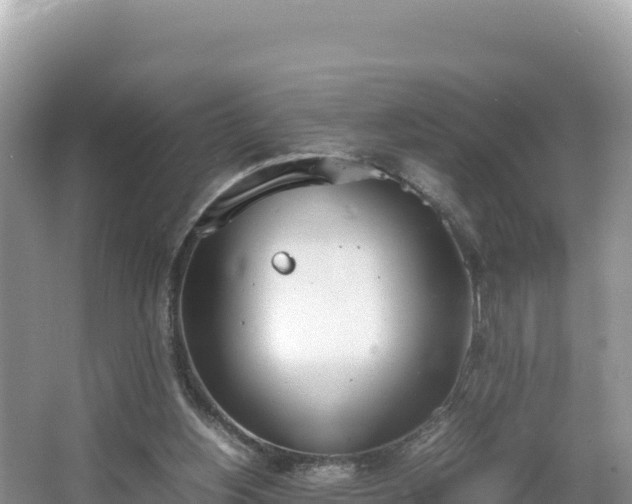 X0000067340156200604071400