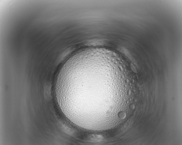 X0000067340159200604071400