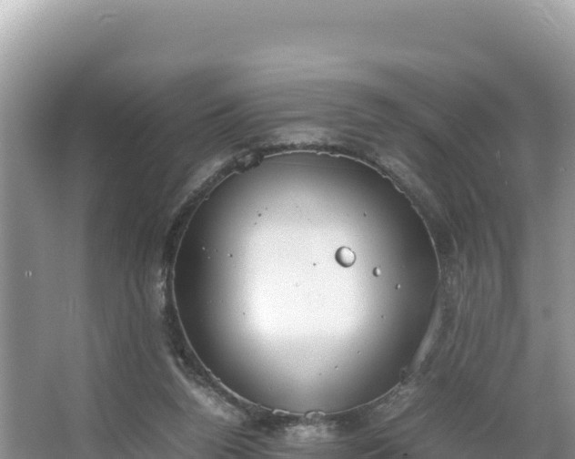 X0000067340160200604071400