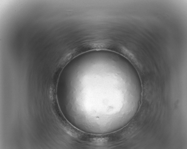 X0000067340161200604071400