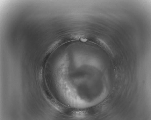 X0000067340163200604071400