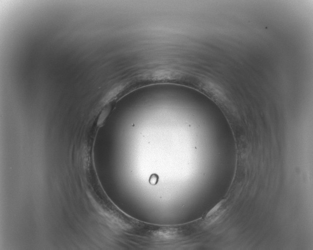 X0000067340164200604071400