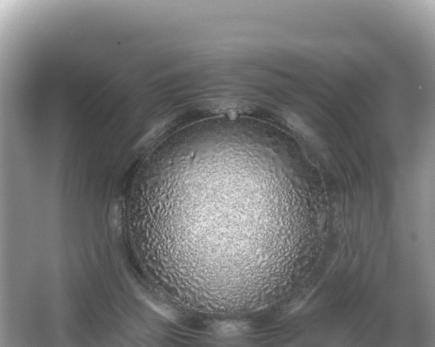 X0000067340165200604071400