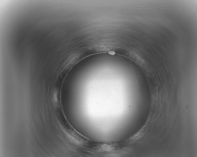 X0000067340166200604071400