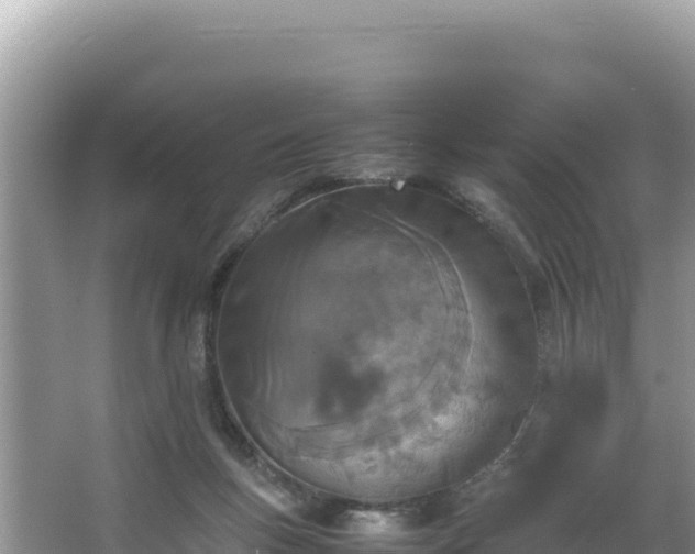 X0000067340167200604071400