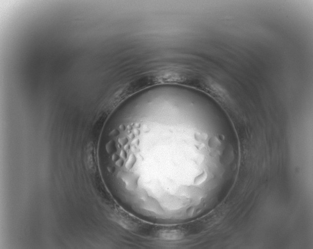 X0000067340169200604071400