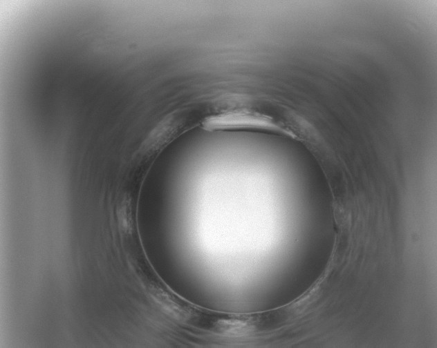 X0000067340170200604071400