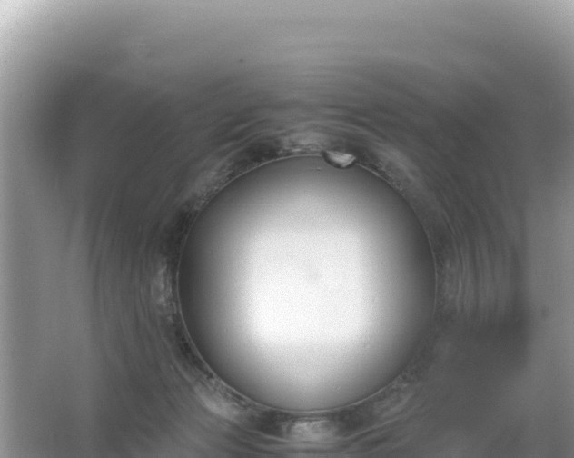 X0000067340173200604071400