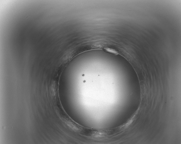 X0000067340174200604071400