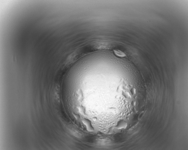 X0000067340175200604071400