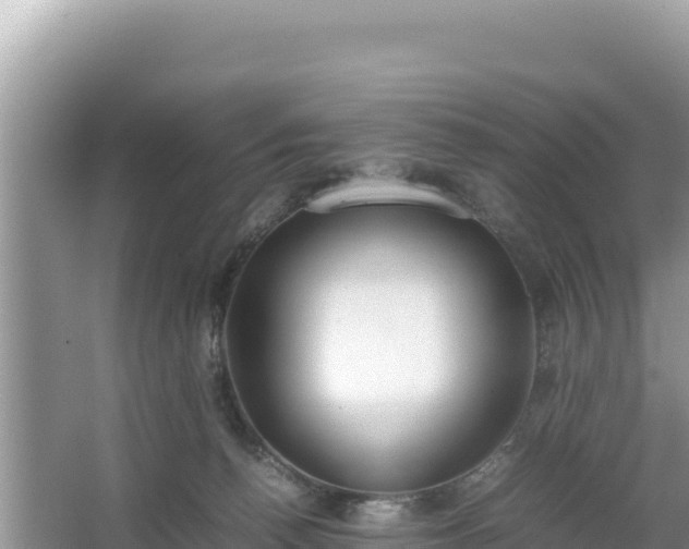 X0000067340176200604071400