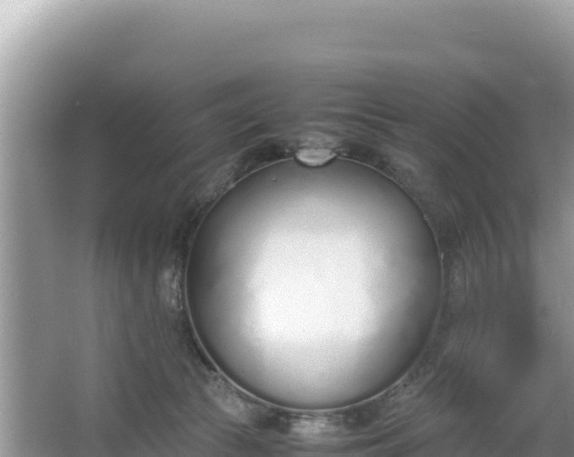 X0000067340177200604071400