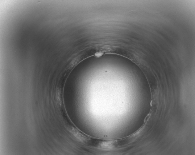 X0000067340178200604071400