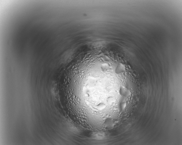 X0000067340181200604071400