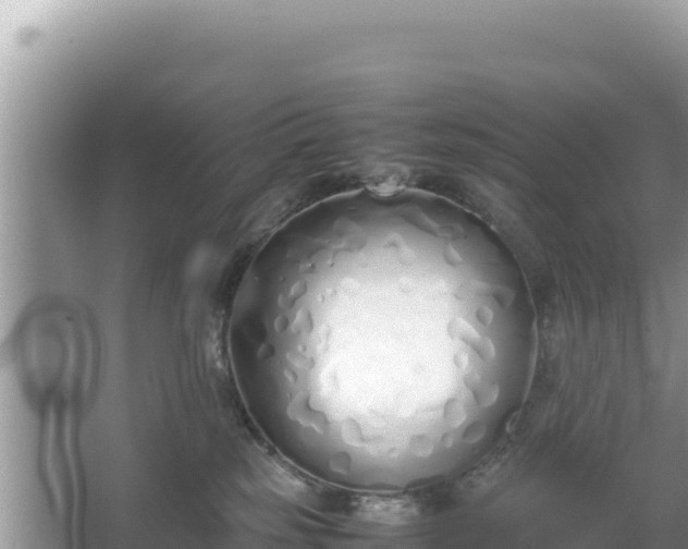 X0000067340185200604071401