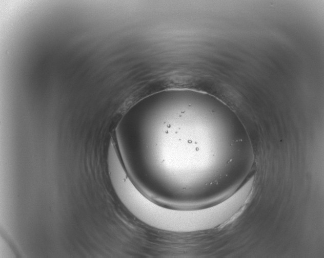 X0000067340186200604071401