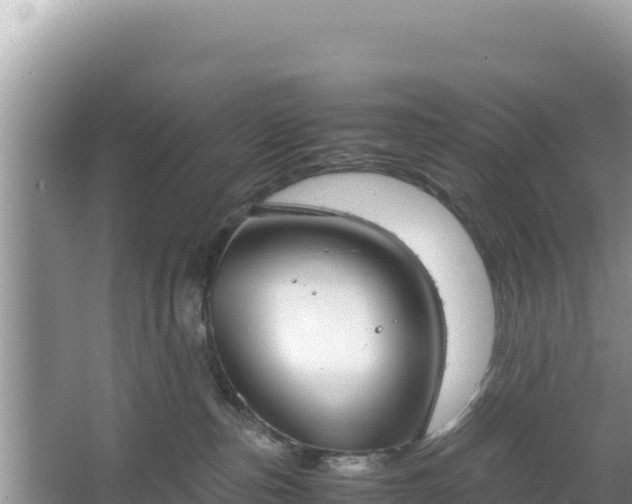 X0000067340187200604071401