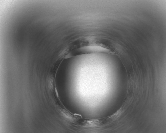 X0000067340188200604071401