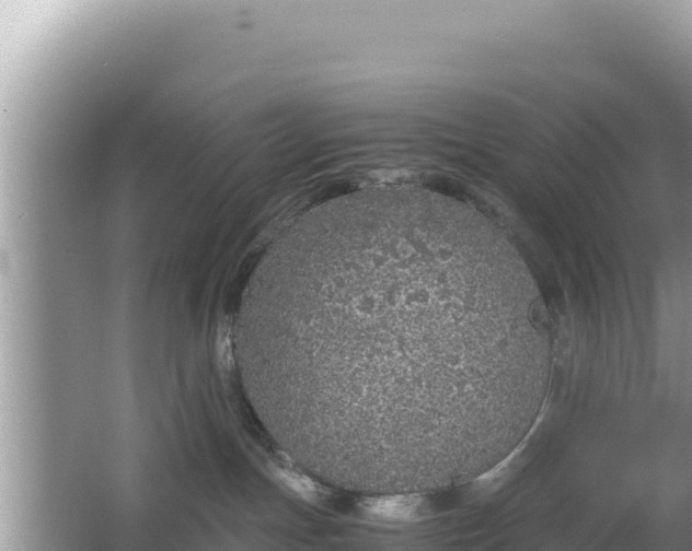 X0000067340191200604071401