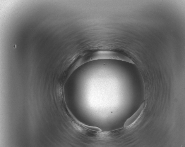 X0000067340192200604071401