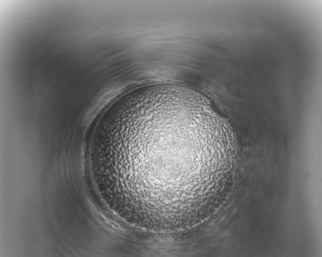 X0000067340194200604071400