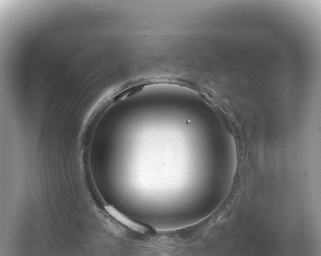 X0000067340197200604071400