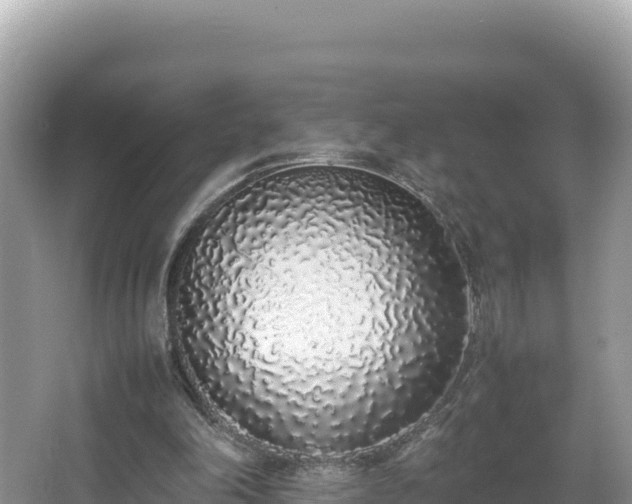 X0000067340198200604071400